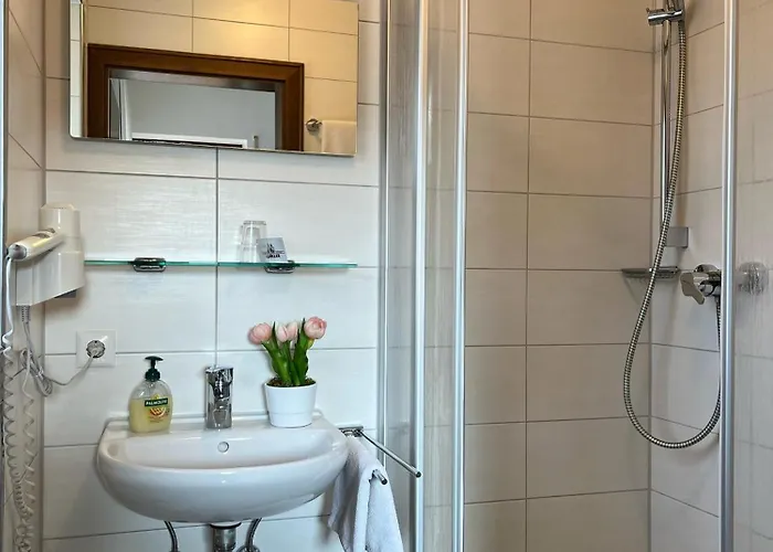 Annas Gaestehaus 3* Hallerndorf